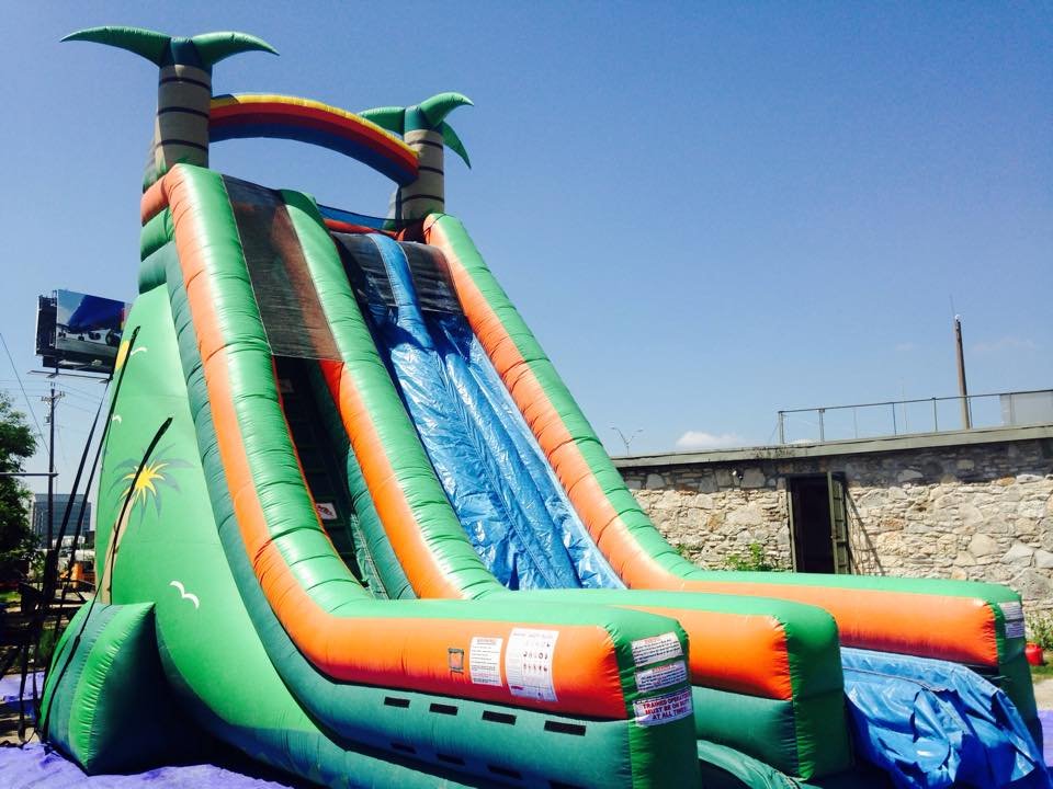 27' Tropical Dual Lane Slide