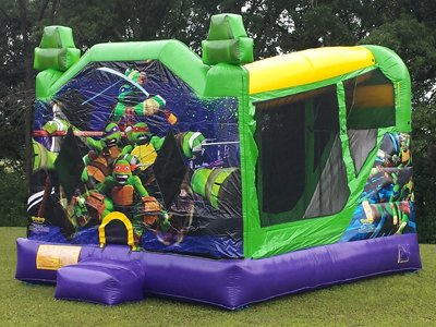 teenage mutant ninja turtles 4 in 1 combo Slide