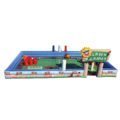 lawn games