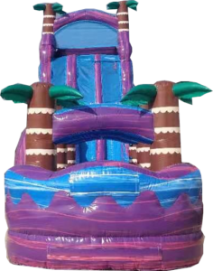 27 purple hurricane dual lane with pool Slide