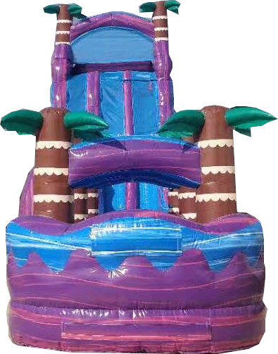 27 purple hurricane dual lane with pool Slide