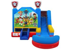 paw patrol playground Slide